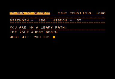 Island of Secrets [from book] game screenshot for Commodore PET